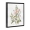 Stupell Industries Dainty Blooming Botanical Framed Floater Canvas Wall Art Design by Carol Robinson